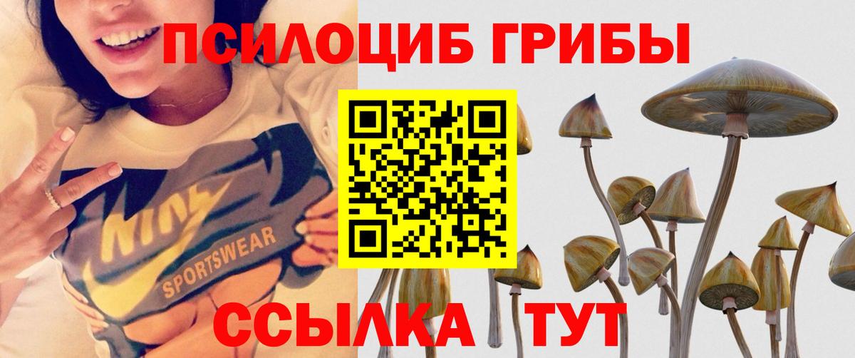 Псилоцибиновые грибы MAGIC MUSHROOMS Арсеньев